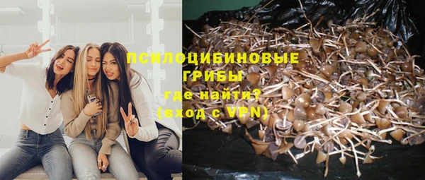 кокс Богданович