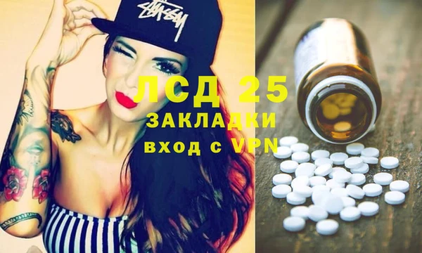 гашик Беломорск