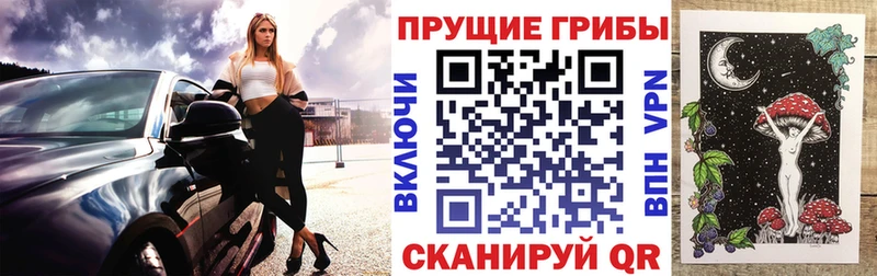 Галлюциногенные грибы мицелий  Купить где  Краснозаводск 